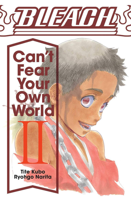 Bleach: Can't Fear Your Own World (Light Novel), Vol. 02